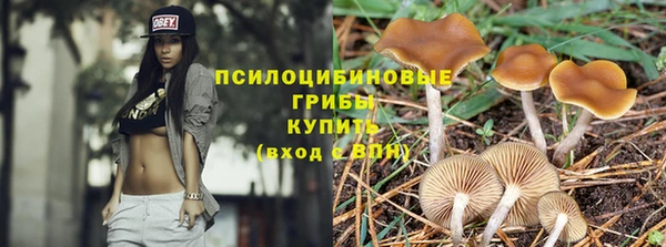 дурь Армянск
