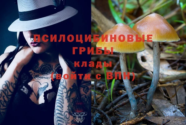 герыч Аркадак